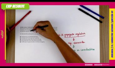 O cruzamento de duas espécies da família das anonáceas, a cherimoia